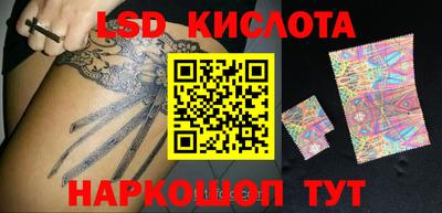 прущие грибы Ирбит