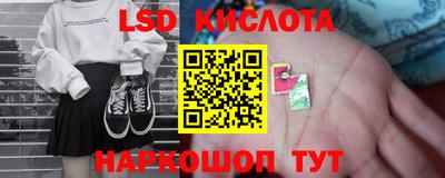 прущие грибы Ирбит